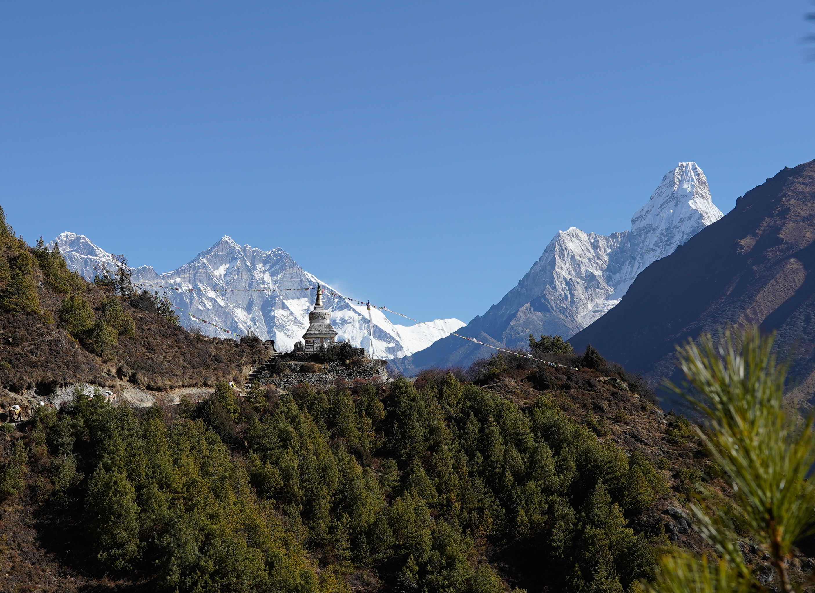 Everest Base Camp