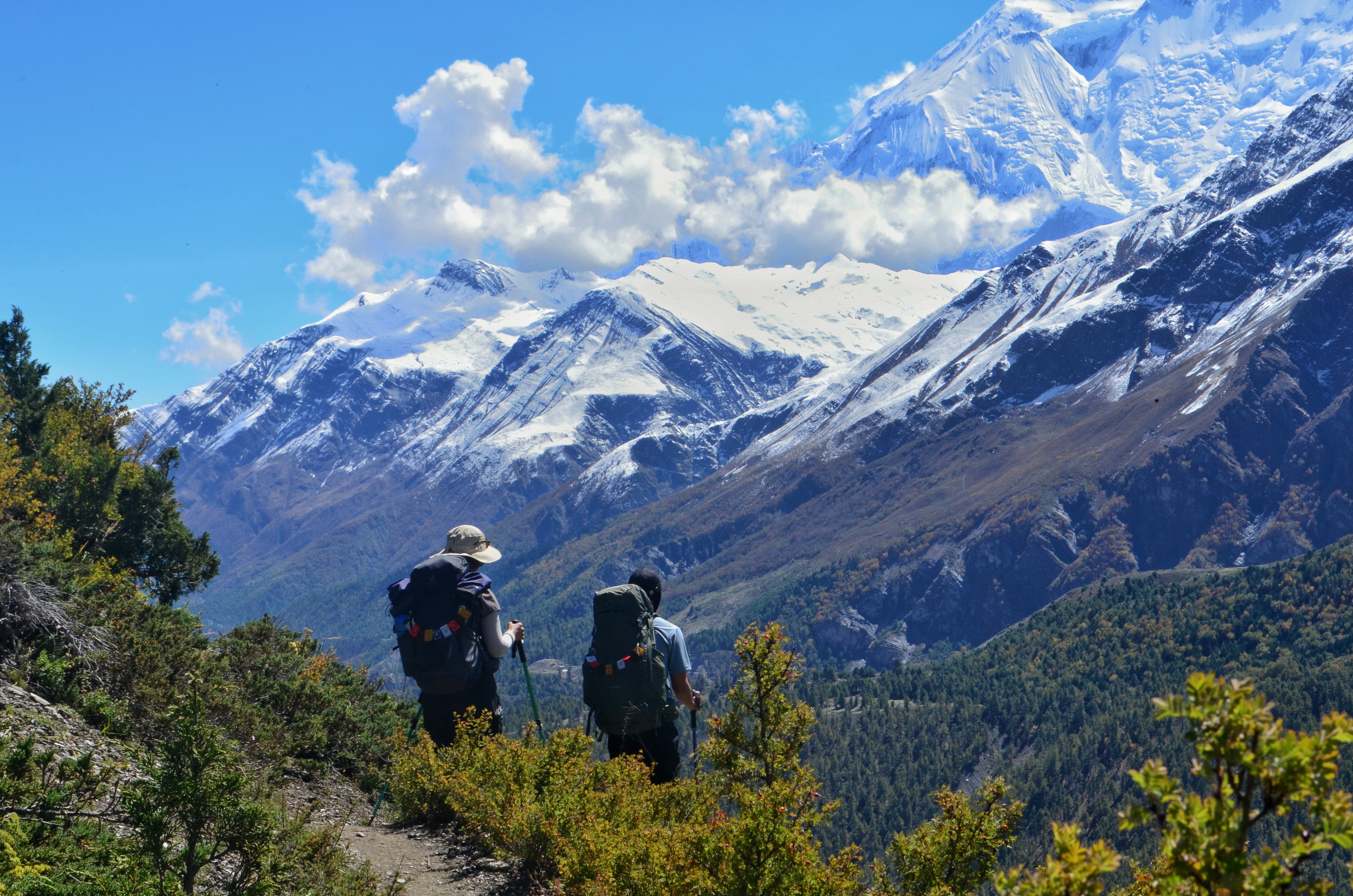 Annapurna Region